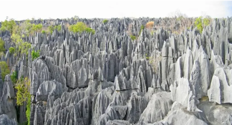Tsingy de Bemaraha National Park